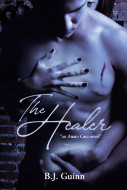 The Healer An Anam Cara Novel