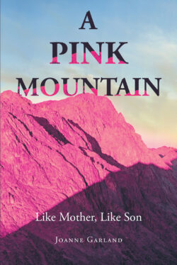 A Pink Mountain