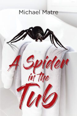 A Spider in the Tub
