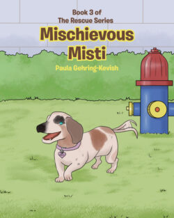 Mischievous Misti Book 3 The Rescue Series