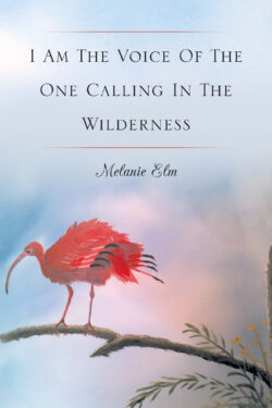 I Am The Voice Of The One Calling In The Wilderness