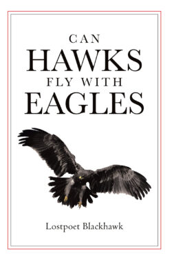 Can Hawks Fly With Eagles