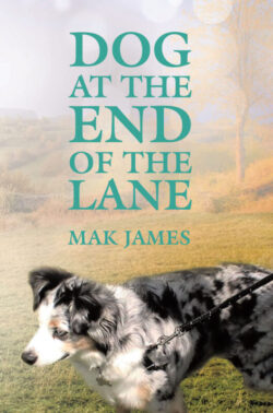 Dog at the End of the Lane