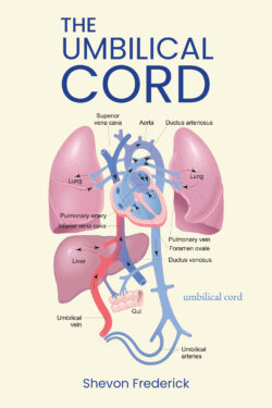 The Umbilical Cord