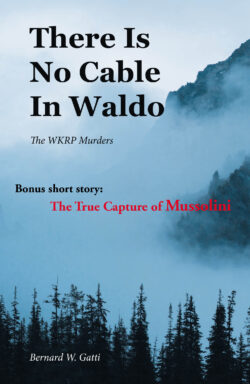 There Is No Cable In Waldo