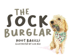 The Sock Burglar