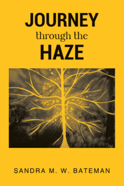 JOURNEY Through The HAZE