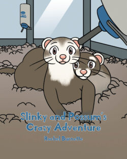 Slinky and Possum's Crazy Adventure