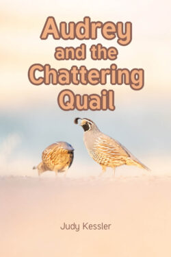 Audrey and the Chattering Quail
