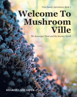 Welcome To Mushroom Ville