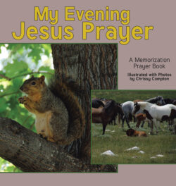 My Evening Jesus Prayer