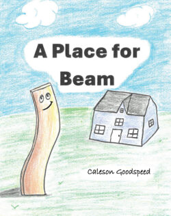 A Place for Beam