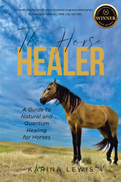 The Horse Healer