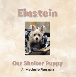 Einstein - Our Shelter Puppy