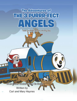 'Twas the Night Before the Big Day