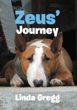 Zeus' Journey