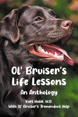 Ol' Bruiser's Life Lessons