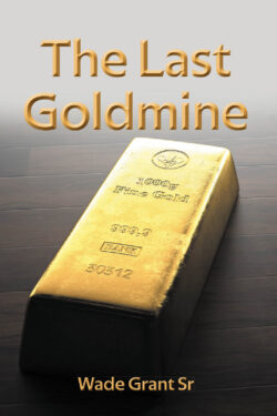 The Last Goldmine