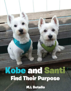 Kobe and Santi Find Their Purpose