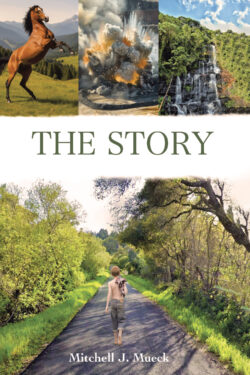 The Story