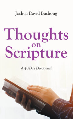 Thoughts on Scripture