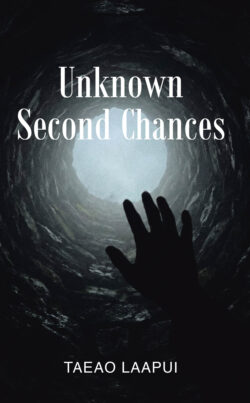 Unknown Second Chances