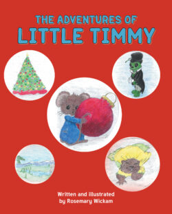 The Adventures of Little Timmy