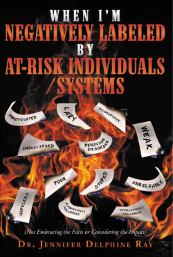 When I'm Negatively Labeled by At-Risk Individuals-Systems