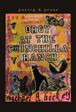 Orgy at the Chinchilla Ranch
