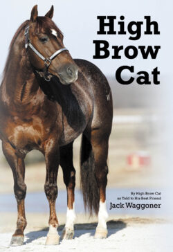 High Brow Cat