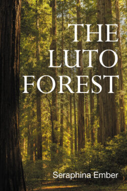 The Luto Forest