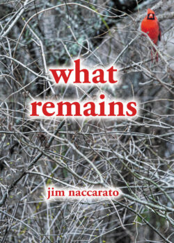 What Remains