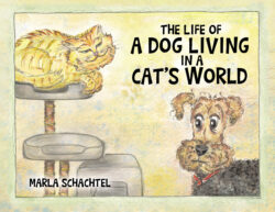 The Life of a Dog Living in a Cat's World