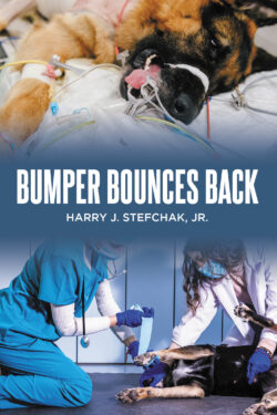 Bumper Bounces Back