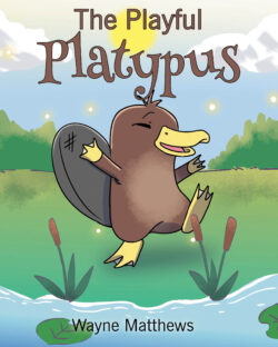 The Playful Platypus
