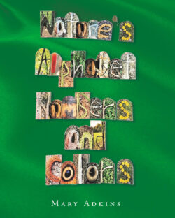 Nature's Alphabet, Numbers, and Colors