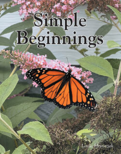 Simple Beginnings