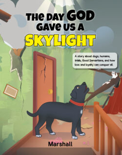 The Day God Gave Us A Skylight