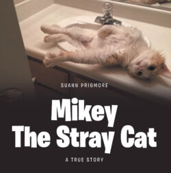 Mikey the Stray Cat
