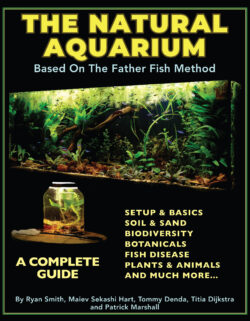 The Natural Aquarium