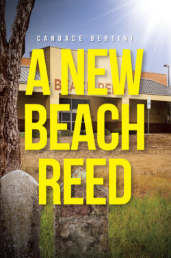 A New Beach Reed
