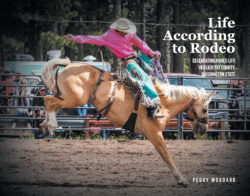 Life According to Rodeo