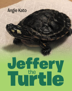 Jeﬀery the Turtle